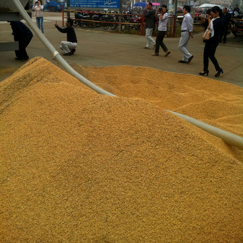全国首台散装小麦稻谷运输车亮相湖北程力